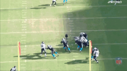 Carolina Panthers Cam Newton GIF