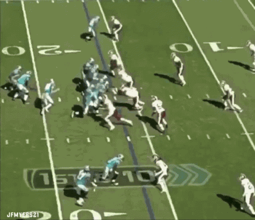 Carolina Panthers Cam Newton GIF