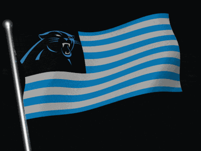 Carolina Panthers Carolina Panthers Logo GIF