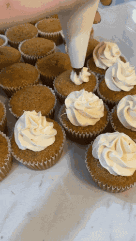 Carrot Cupcakes Dessert GIF