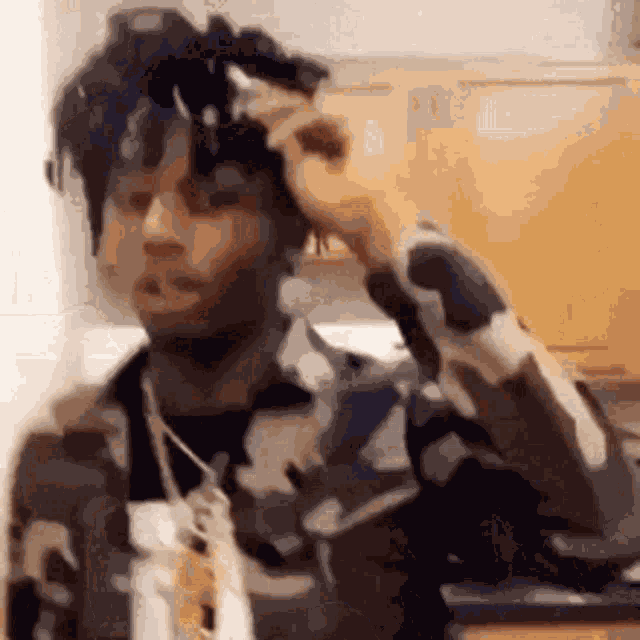 Carti GIF
