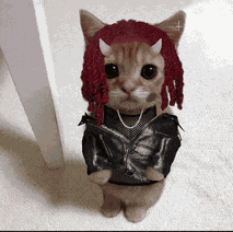 Carticat Playboi Carti Meme