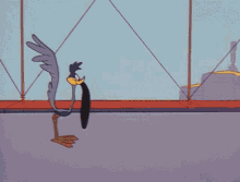 Cartoon Roadrunner GIF