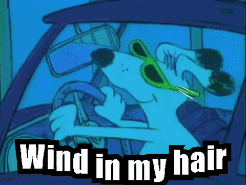 Cartoonwindinmyhair Alertdogdriving GIF