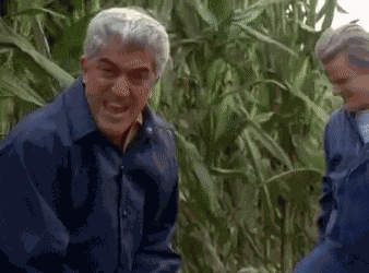 Casino Bat Scene Pesci GIF
