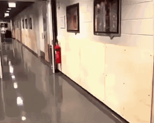 Casper Ruud Clicking Heels GIF