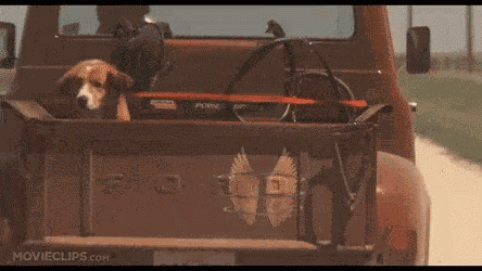 Castaway Leaving GIF
