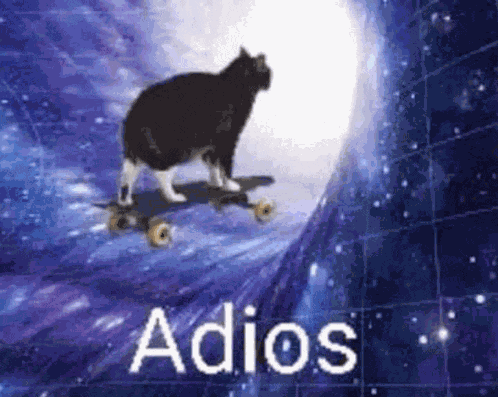 Cat Adios Galaxy Cat Meme