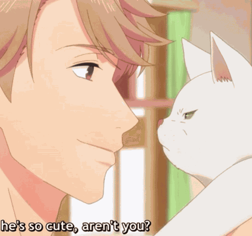 Cat Angry Cat GIF