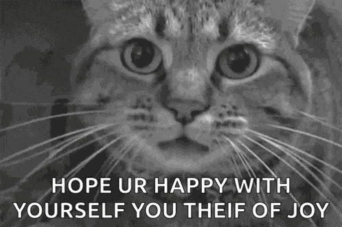 Cat Angry GIF