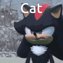 Cat GIF
