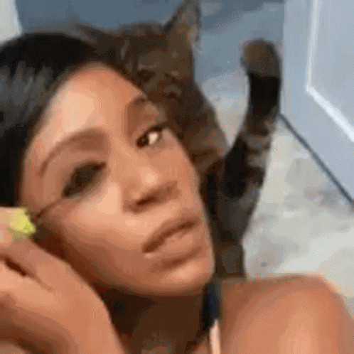 Cat Attack GIF