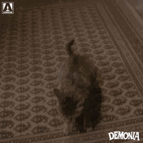 Cat Attack GIF