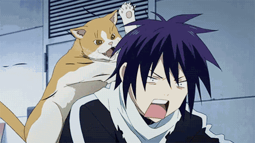 Cat Attack GIF