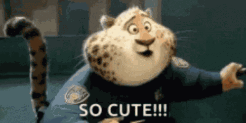 Cat GIF