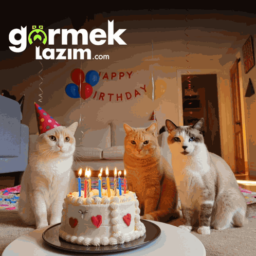 Cat Birthday Cats Birthday GIF