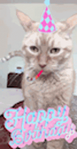 Cat Birthday GIF