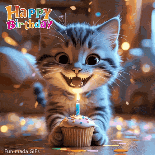 Cat Birthday Pet Birthday GIF