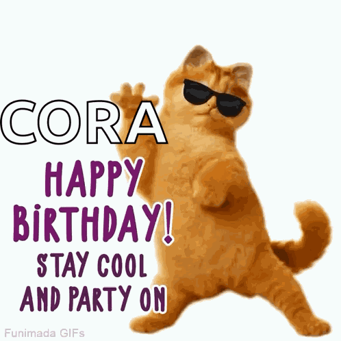 Cat Birthday Pet Birthday GIF