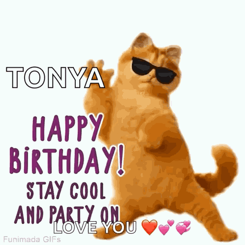 Cat Birthday Pet Birthday GIF