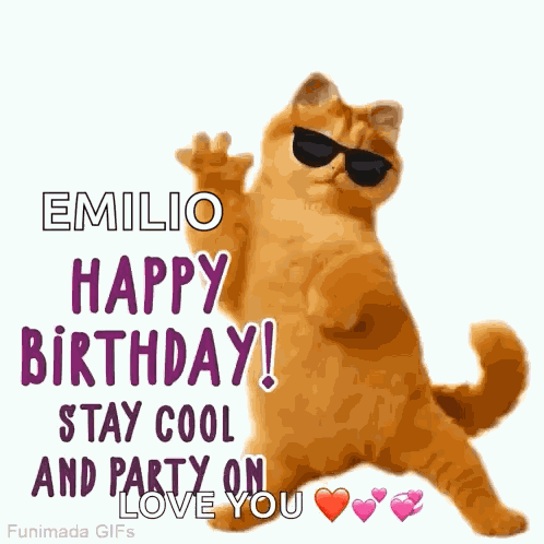 Cat Birthday Pet Birthday GIF