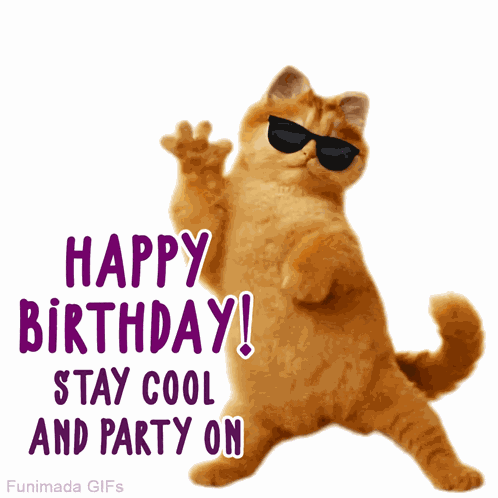 Cat Birthday Pet Birthday GIF