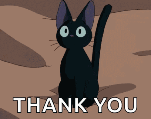 Cat Black Cat GIF