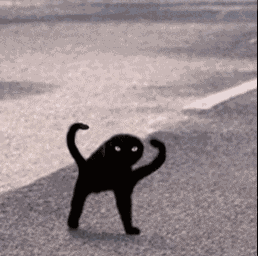 Cat Black Meme