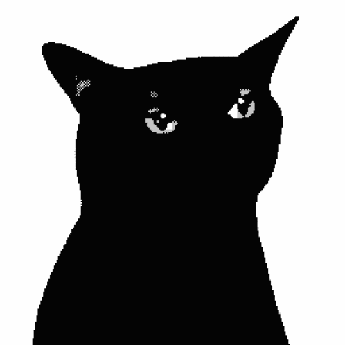Cat Black GIF