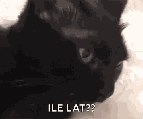 Cat Blep Cat Tongue GIF