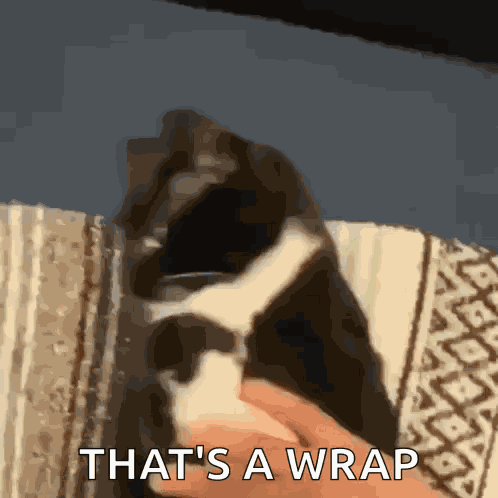 Cat Burrito GIF