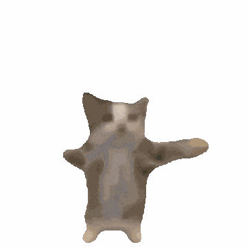 Cat GIF