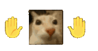 Cat Car Sticker