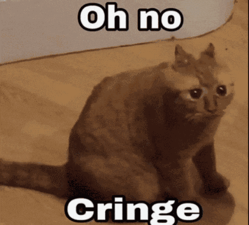 Cat Cat Meme GIF