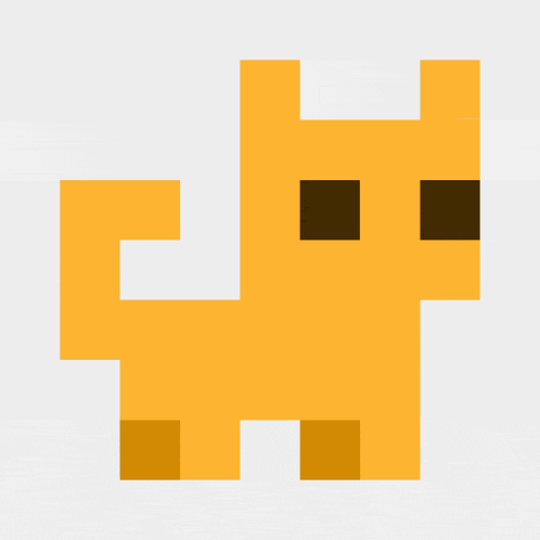 Cat Cat Meme GIF