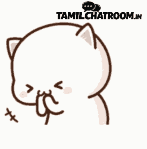 Cat Cat Meme GIF