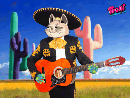 Cat Cats GIF