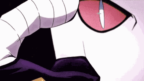 Cat Cats GIF