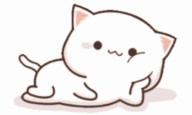Cat Cats GIF