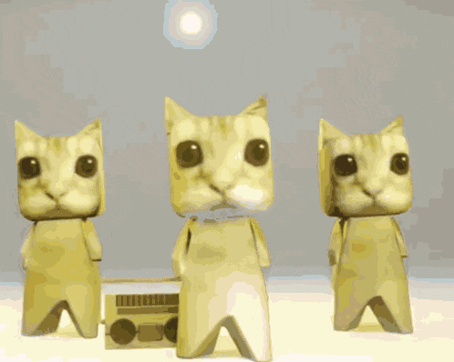 Cat Cats GIF