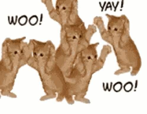 Cat Cats GIF