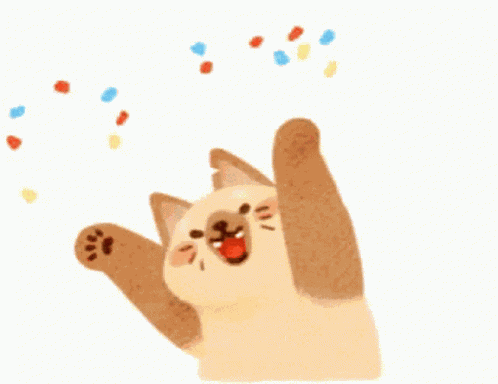 Cat Celebrate GIF