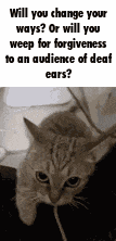 Cat Change Your Ways GIF