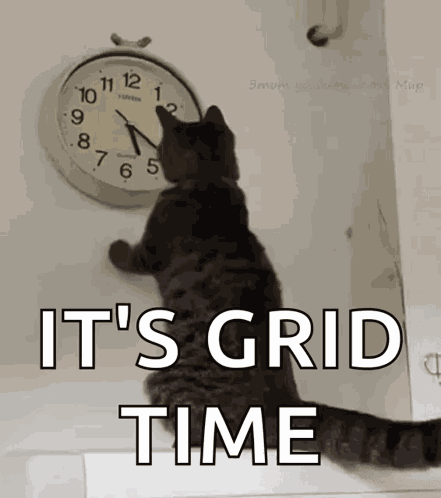 Cat Changing The Clock Changing The Time GIF