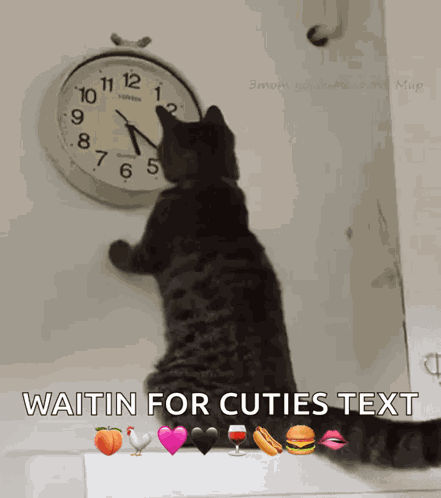 Cat Changing The Clock Changing The Time GIF