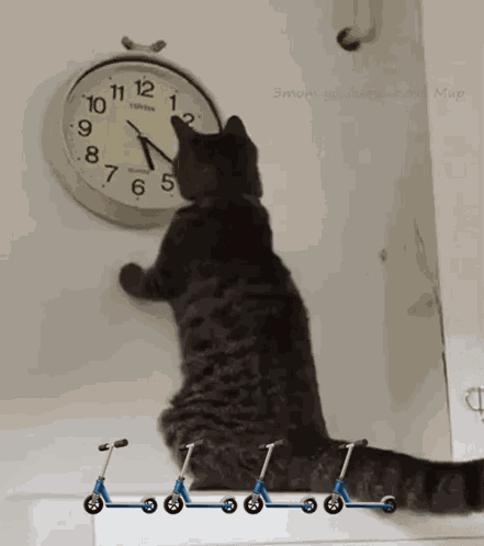 Cat Changing The Clock Changing The Time GIF