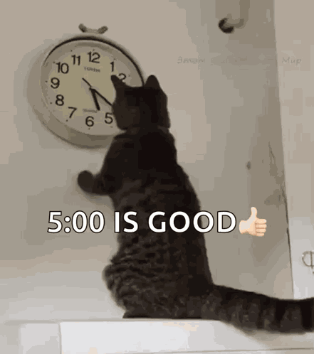 Cat Changing The Clock Changing The Time GIF