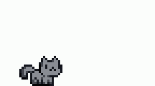 Cat GIF