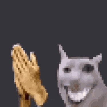 Cat Clapping Smiling Smile Discord Low Quality GIF