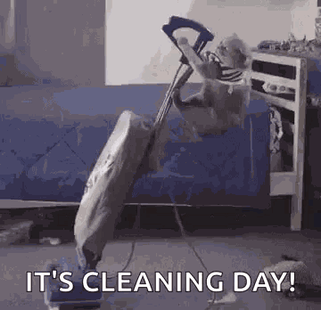 Cat Cleaning GIF